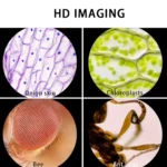 Portable Lab Microscope, 60-120x Zoom – Battery-Powered with LED Light, Ideal for Kids’ Science & Learning - Image 7