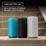 Sony SRS-XE300 – Built for Bold Beats - Image 3