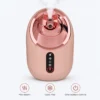 Porodo Rozita Hot & Cold Facial Steamer, 240ml, Pink